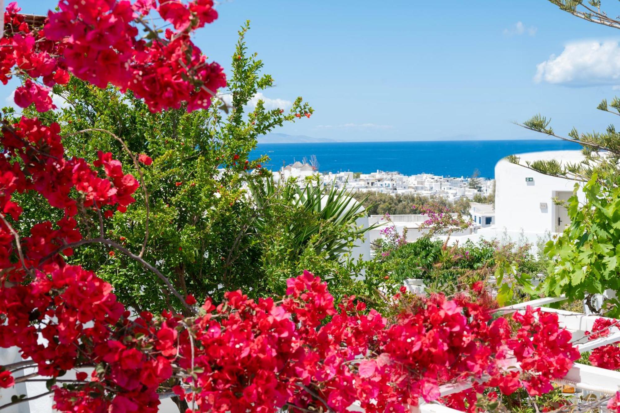 Boutique Di Vito Hotell Mykonos Town Exteriör bild
